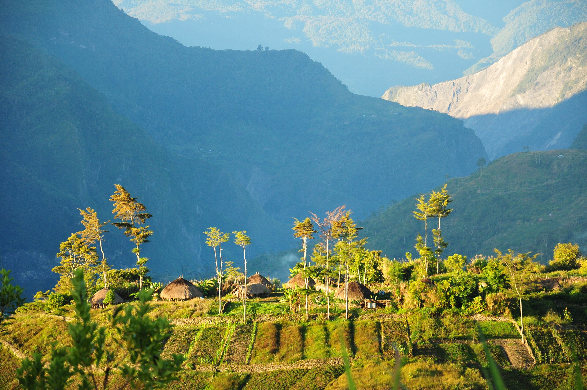 Perkampungan di atas bukit, Papua